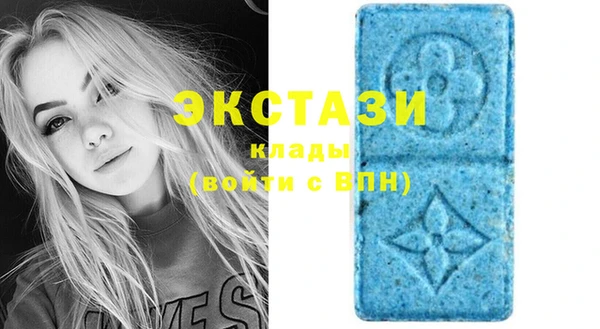твердый Заводоуковск