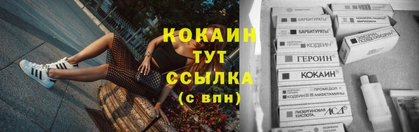 твердый Заводоуковск